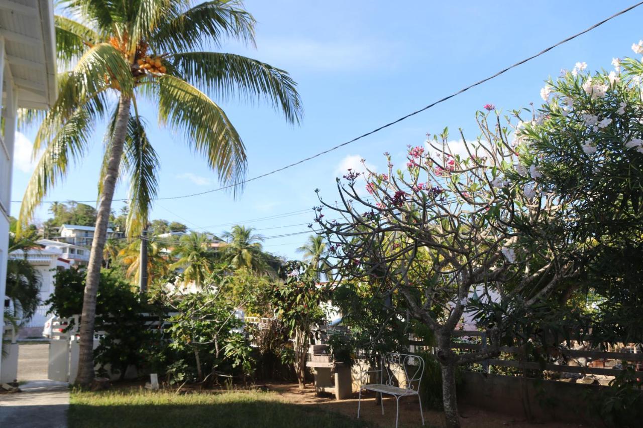 Apartmán Le Colibri Et Le Frangipanier La Trinité Exteriér fotografie