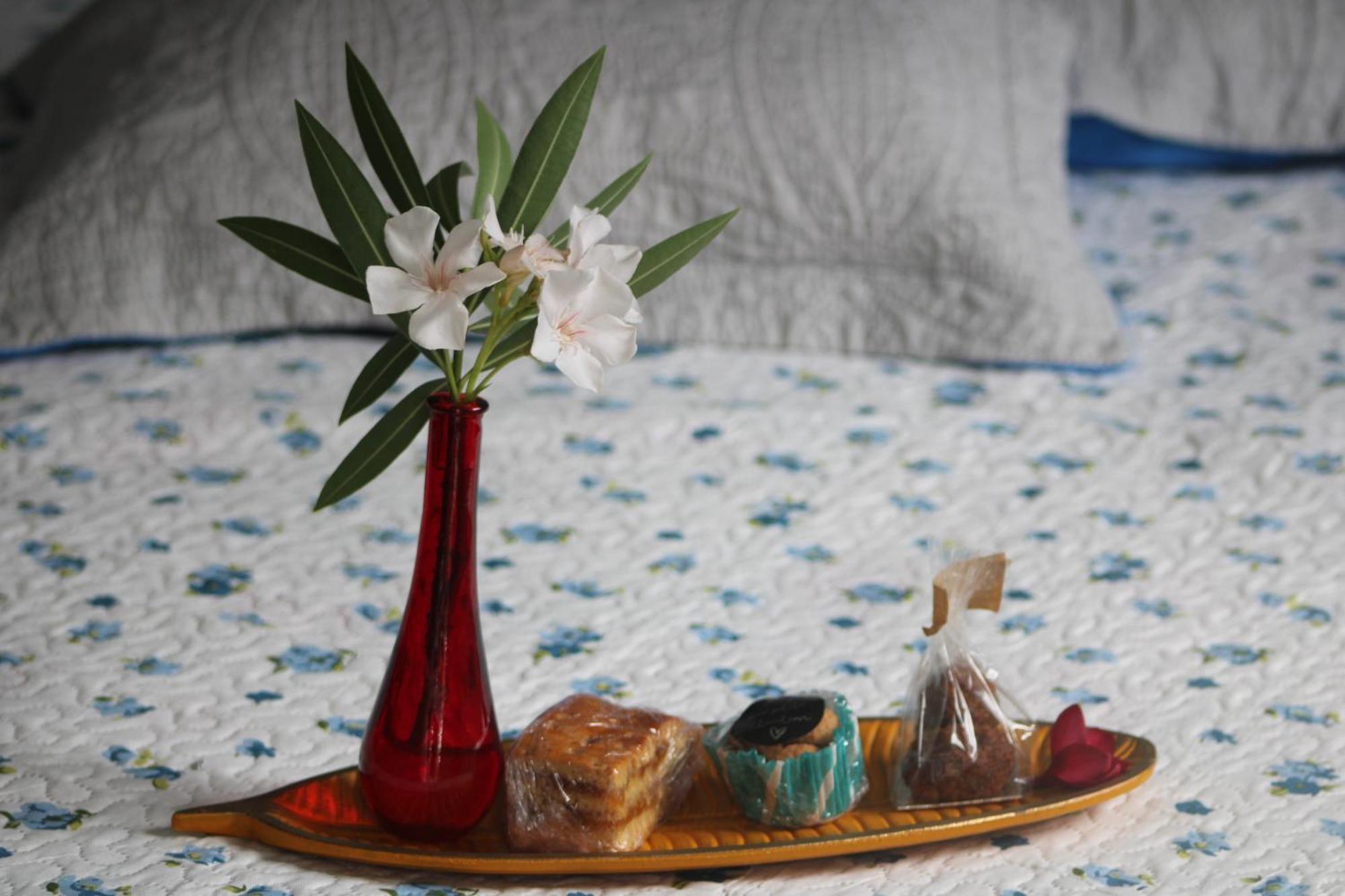Apartmán Le Colibri Et Le Frangipanier La Trinité Exteriér fotografie
