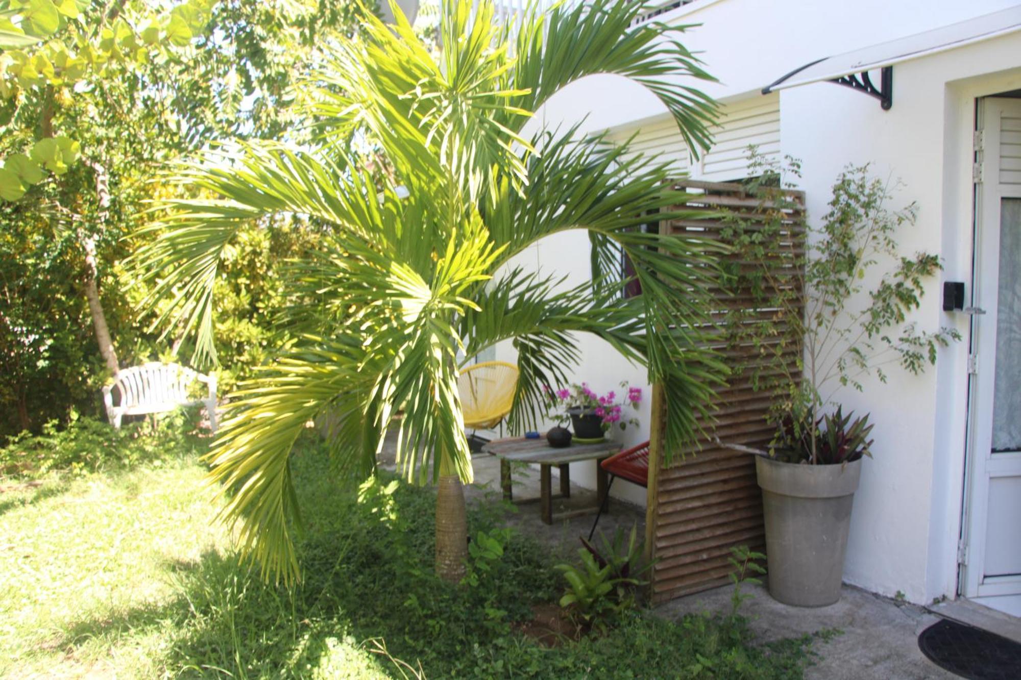 Apartmán Le Colibri Et Le Frangipanier La Trinité Exteriér fotografie
